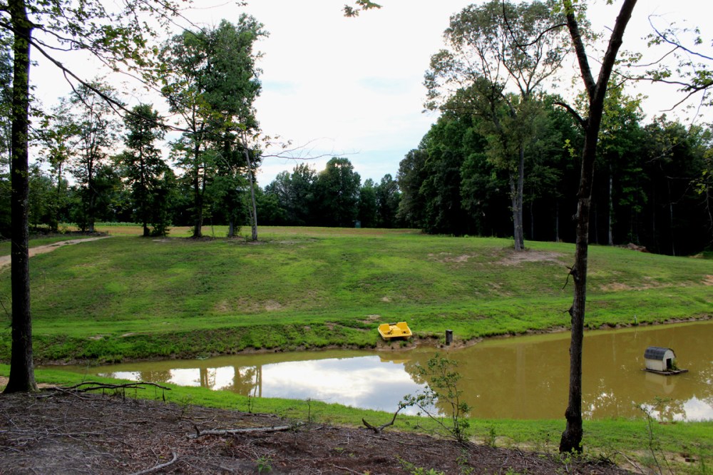 The Pond, you build it- they will come, the frogs that is. I have been properly trained in the harvesting of frog legs, at night with spot light and adequate harvesting equipment, luckily said equipment had a scope!