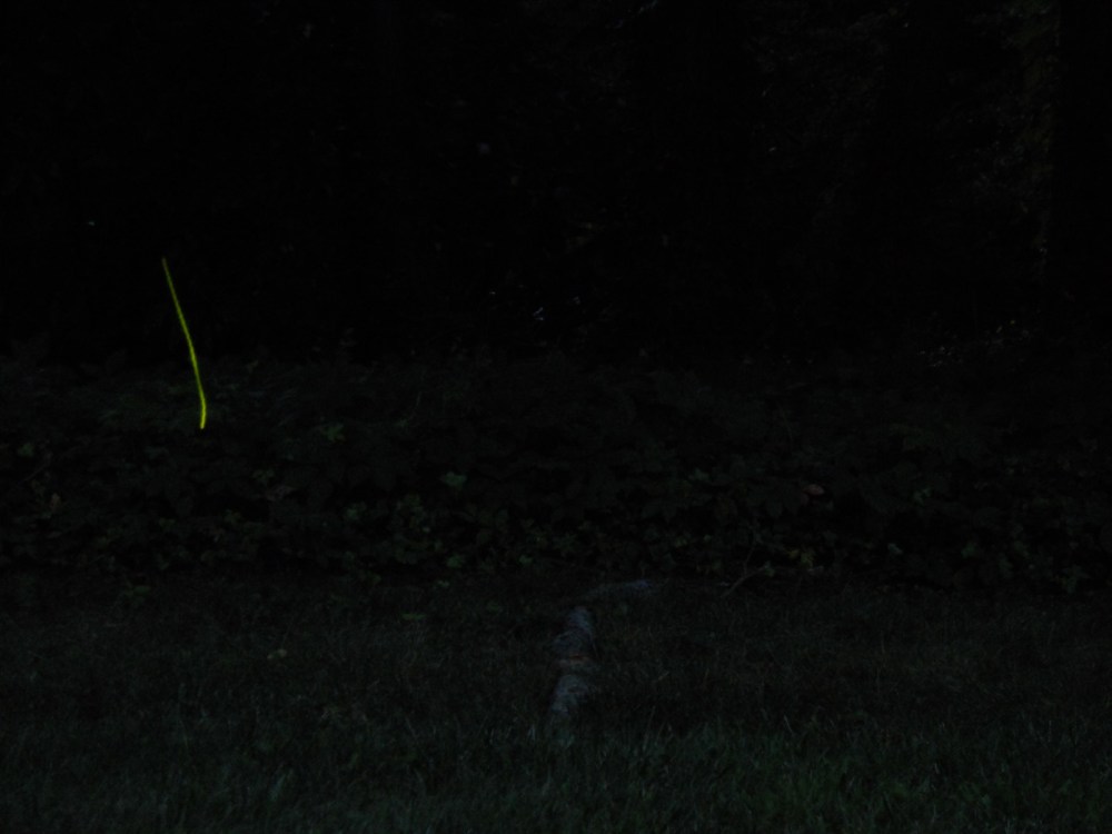 Look... It's a firefly... the yellow streak... really